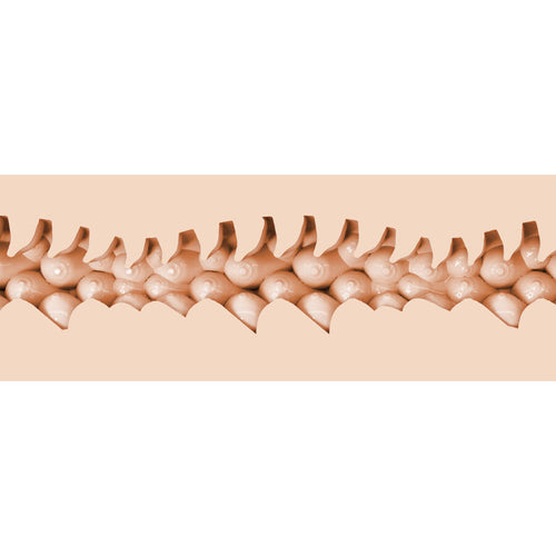 FLESHLIGHT FANTASIE - EVIE AKASHIYA VAGINA